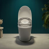 Bồn Cầu DeMuhler ML368002 7 950B 3