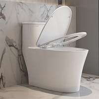 Bồn cầu đặt sàn DeMuhler ML366306 6 2 2