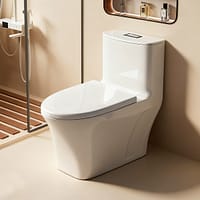 Bồn cầu đặt sàn DeMuhler ML366307 6 2 3