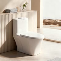 Bồn cầu đặt sàn DeMuhler ML366307 7 3 3