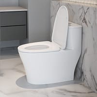 Bồn cầu đặt sàn DeMuhler ML366306 8 4