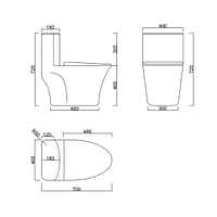 Bồn cầu đặt sàn DeMuhler ML366307 9 5 1