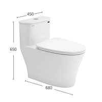 Bồn cầu đặt sàn DeMuhler ML366306 9 5