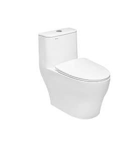 Bồn cầu DeMuhler ML-366189