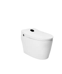 Bồn cầu DeMuhler ML-501