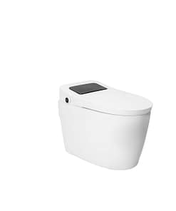 Bồn cầu DeMuhler ML-502