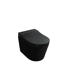 Bồn cầu DeMuhler A7B