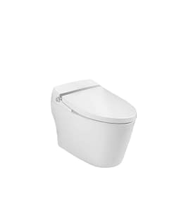 Bồn cầu DeMuhler ML-AG5095