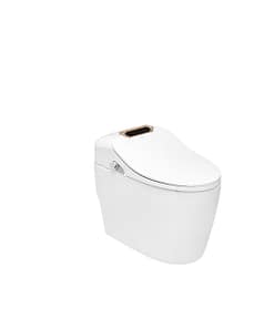 Bồn cầu DeMuhler ML-H9