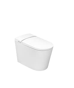 Bồn cầu DeMuhler ML-LP-R6B
