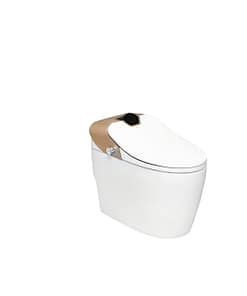 Bồn cầu DeMuhler TL-I11