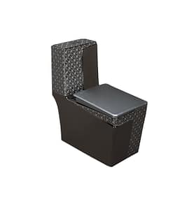 Bồn cầu DeMuhler TL-T05