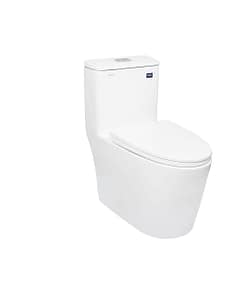 Bồn cầu DeMuhler ML366836