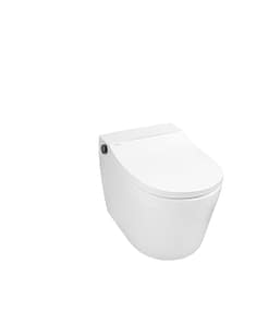 Bồn cầu DeMuler A7W