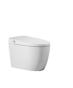 Bồn Cầu DeMuhler ML368001