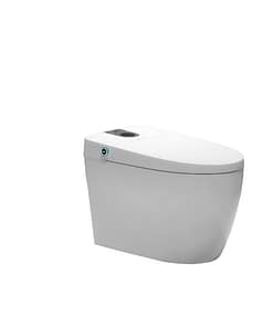 Bồn Cầu DeMuhler ML368002
