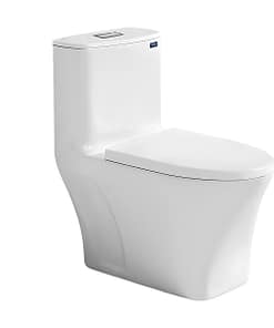 Bồn cầu đặt sàn DeMuhler ML366307